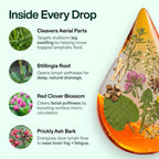 Lymphatic Drainage Drops
